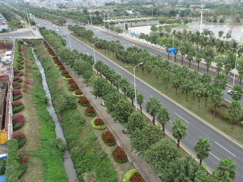 長濱路北段兩側綠化整治項目